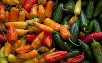 Las buenas prácticas agrícolas son esenciales para la producción de hortalizas