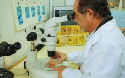 Estudian alternativas naturales para el control de parásitos internos