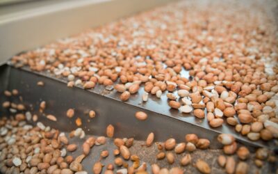 Se reduce la cantidad de productos alcanzados por las Declaraciones Juradas de Venta al Exterior