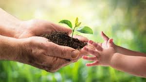 ¿Qué lugar ocupa la sostenibilidad en las decisiones de los líderes empresariales?