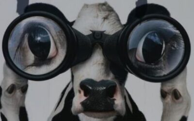 La mirada de los CREA Lecheros: hay un moderado optimismo sobre lo que viene