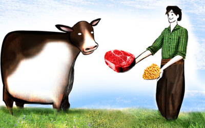 Suceso: el margen de la invernada intensiva superó al de la soja