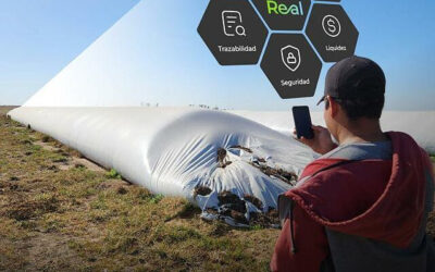 Innovación en la cadena de comercialización de cebada con SiloReal