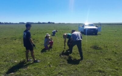 Carne para hoy, degradación para mañana