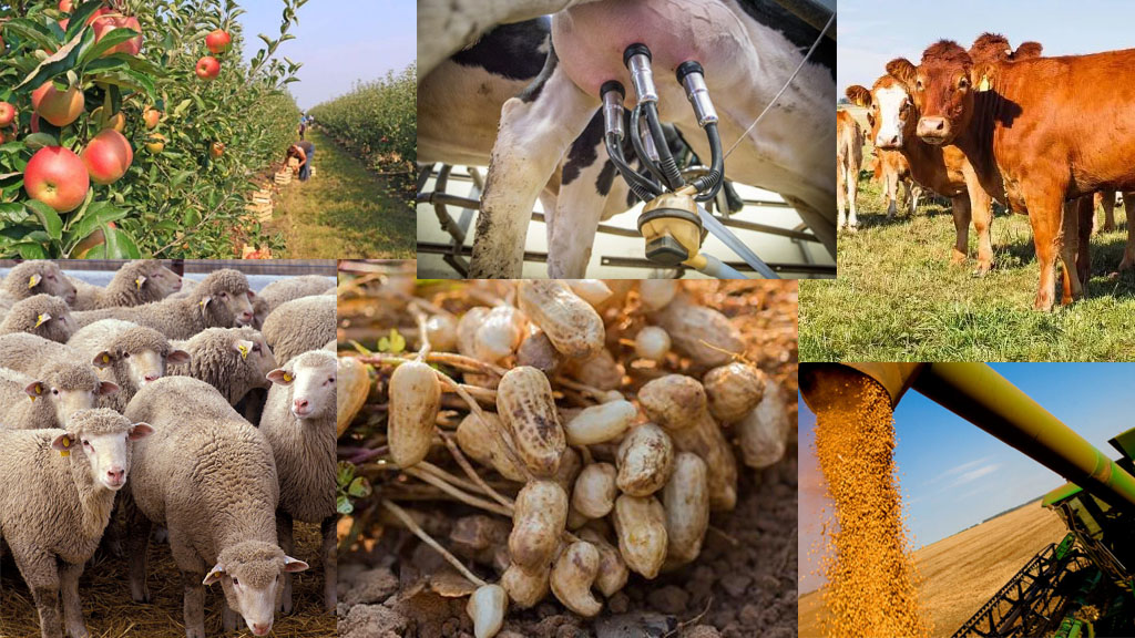 Las economías agropecuarias empeoraron su situación