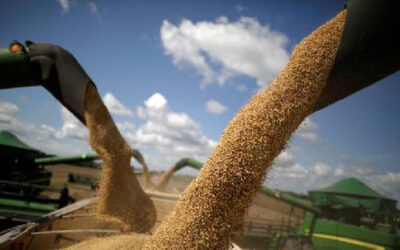 Miléi elige ir a fondo en modificar los patrones culturales y de funcionamiento de la economía.