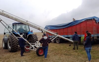 Detectan más de 31 toneladas de soja fuera de estándar que iban a ser exportadas desde Santa Fe