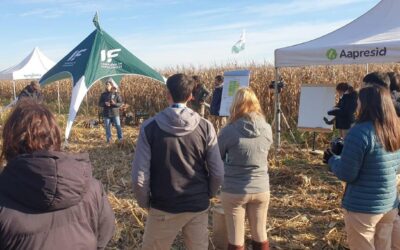 La nutrición integral y combinada comienza a estar en el centro de la escena