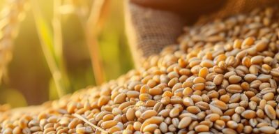 Flujo de Fondos y Comercialización de Granos