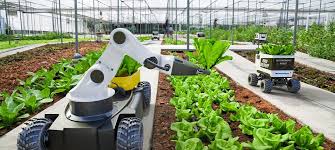 La inteligencia artificial puede revalorizar la industria alimentaria en más de 127 mil millones de dólares