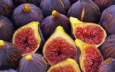 Temporada 2024 de higos frescos de California promete ser una de las mejores que se haya visto