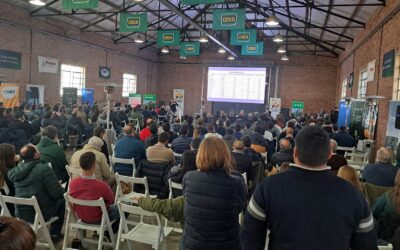 Maíz ante un año niña y la chicharrita, la Jornada de Actualización Técnica (JAT) abierta de Crea dejó en claro que la información es hoy un insumo clave