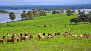 La SRA presentó el Sello de Triple Impacto para tener una producción más sostenible