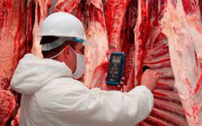Exportaciones de carne bovina: menos volumen pero récord de ingresos en noviembre de 2025