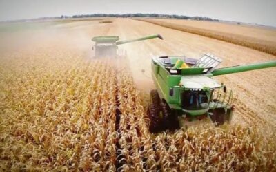 ¿Qué tan competitiva es Argentina para producir granos?