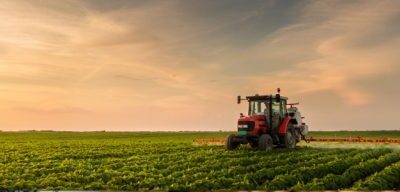 Vender o no vender. Esa es la cuestión.