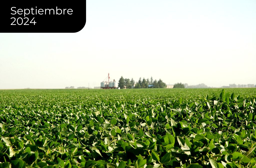 Sin buenos precios internacionales a la vista, el clima pasa a ser clave en el ingreso de agro dólares del 2025