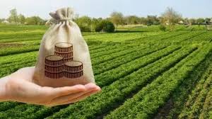 Mercado de campos: menos oferta, demanda firme y señales de suba en los valores rurales