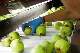 Informe CERA: “Las PyMEx de manufacturas en la Argentina 2014–2023. Una caída que debemos revertir”