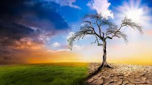 Argentina y el balance en términos de agenda climática