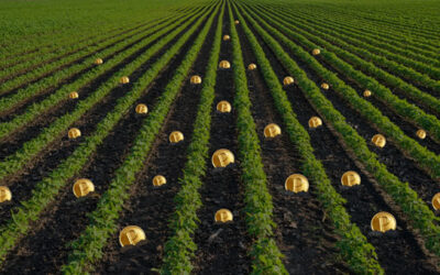 ¿Rompimos la inercia o cambiamos la velocidad?