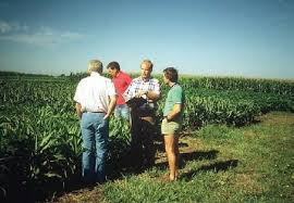 Productores más optimistas: La confianza del campo creció un 17% en marzo y recupera terreno tras la caída de enero