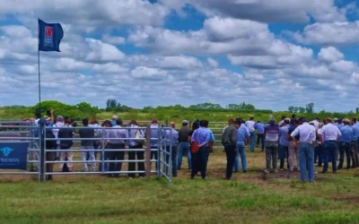 La trazabilidad individual electrónica mejora la rentabilidad del sector