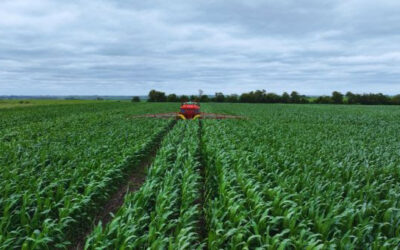 Lo esencial es invisible a los ojos:  las buenas prácticas agrícolas, agricultura sustentable