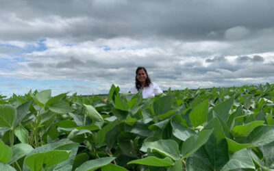 Soja Sostenible en el Gran Chaco: resultados de un abordaje integral