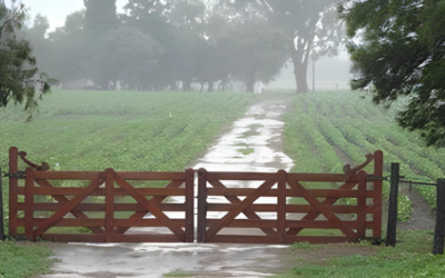 Las lluvias del fin de semana: alivio para la Región Núcleo y reactivación de la siembra de soja