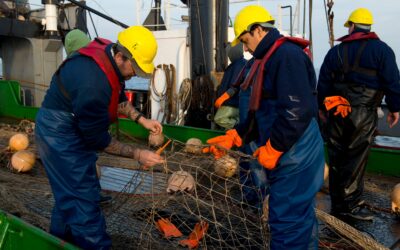 Se renovó el sistema de cuotas para la merluza hubbsi por 15 años y se incrementó el Derecho Único de Extracción