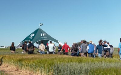 El suelo habla: Escucharlo es la clave para una fertilización eficiente