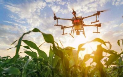 Últimos días para postularse a la red BCR Startup Network