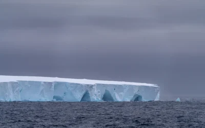 El iceberg más grande del mundo se desprendió y navega por el océano: qué impacto tendrá