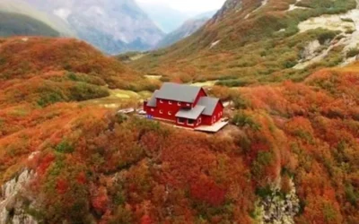 Dura dos días y recorre una selva: la excursión imperdible del parque nacional Nahuel Huapi
