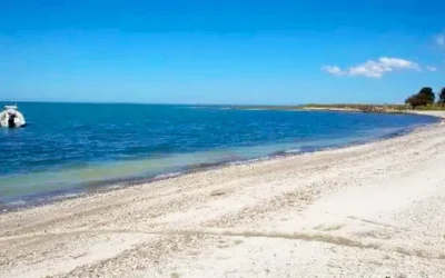 El secreto mejor guardado de la Costa Atlántica: una playa “caribeña” con las mejores ostras de Argentina