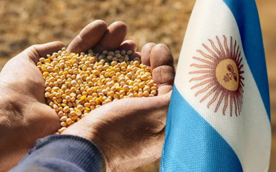 EE.UU. y Brasil… ¿amigos o enemigos de la soja argentina?