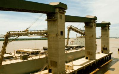 Ranking 2024: los 10 complejos agroindustriales que más crecieron en exportaciones