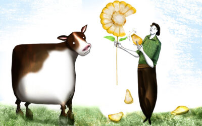 ¿Maíz entero o procesado? Cuál conviene en engordes de más de 60 días