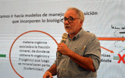 Cuando el medioambiente, el suelo y el bolsillo agradecen que se use biológicos