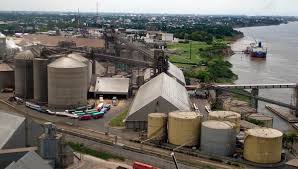 Ranking de exportaciones de granos, harina y aceites: ¿Quiénes lideraron el 2024?