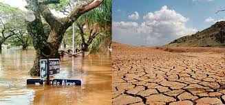 Sequías, inundaciones y tormentas, y otros pueden impactar desde la producción hasta el consumo de los alimentos