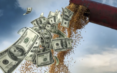 Operaciones agropecuarias en dólares: cómo tributan impuestos las diferencias de cambio luego del DNU 70/2023