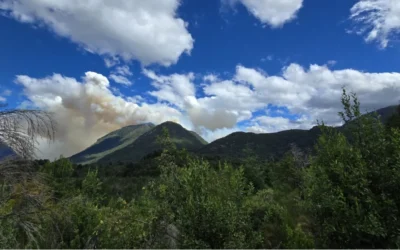 Incendio en Los Manzanos: aumenta el riesgo por fuertes vientos