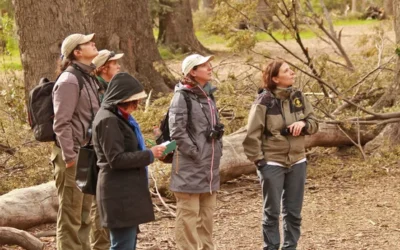 Parques Nacionales busca voluntarios que quieran colaborar en un entorno soñado: los requisitos y cómo aplicar
