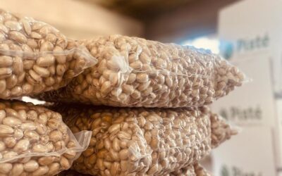 El pistacho en la Argentina