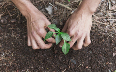 Biológicos: nuevas propuestas de soluciones para el Agro