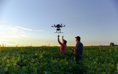 Inteligencia artificial en el agro: las 5 tendencias clave que revolucionarán la agricultura en 2025