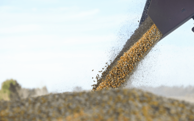 “Nuestra más profunda preocupación”: fuerte denuncia de Carbap por la devolución de IVA