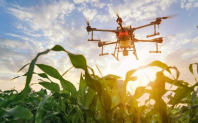 Récord: las inscripciones para sumarse a la red de startups de la Bolsa de Comercio de Rosario crecieron 50%